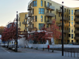 Pandion Doxx – Bild 7