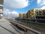 Pandion Doxx – Bild 6